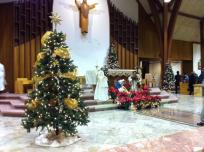 st joes christmas